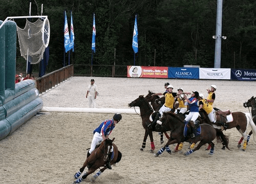 Сравнение хорсбола и поло