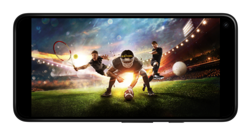 Стоит ли отдыхать от ставок на спорт