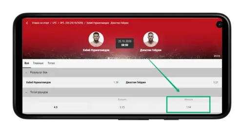 Особенности