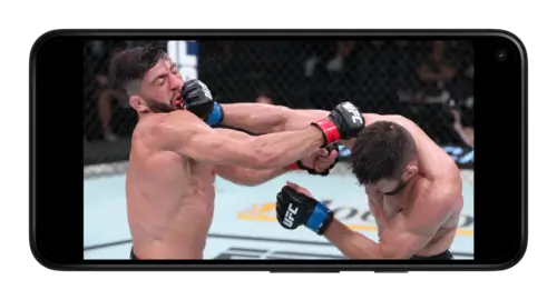 Особенности