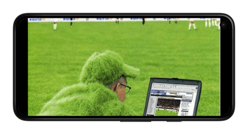 Виды игроков в БК