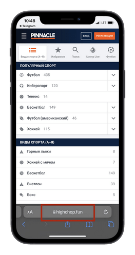 Букмекер Pinnacle зеркало